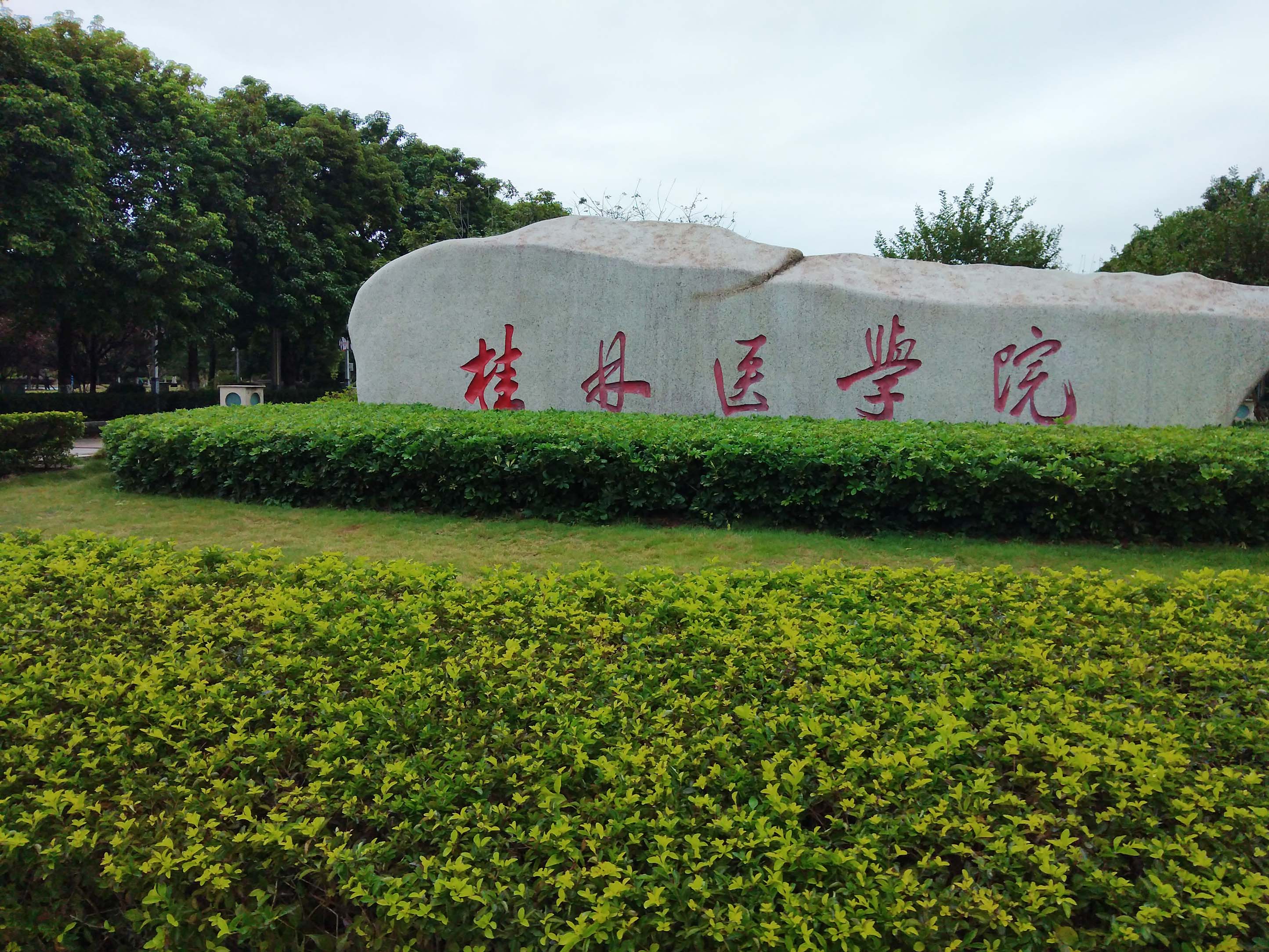 12月29日桂林医学院纯水设备维护插图